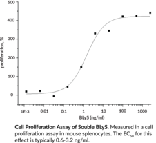 Soluble BLyS/BAFF (human, recombinant)