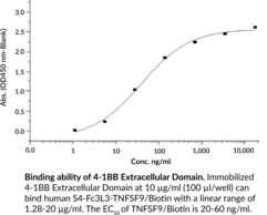 4-1BB/CD137 Extracellular Domain (human, recombinant)