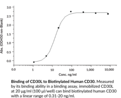 TNFRSF8/CD30 Long Isoform Extracellular Domain (human, recombinant)