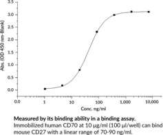 CD27L/CD70 Extracellular Domain (human, recombinant)