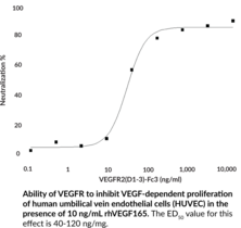 VEGFR2 Extracellular Domain (human, recombinant; aa 20-327)