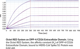 DPP-4/CD26 Extracellular Domain (human, recombinant)