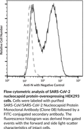 SARS-CoV/SARS-CoV-2 Nucleocapsid Protein Monoclonal Antibody (Clone 08)