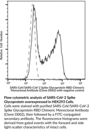 SARS-CoV/SARS-CoV-2 Spike Glycoprotein RBD Chimeric Monoclonal Antibody (Clone D002)