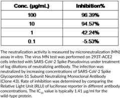 SARS-CoV-2 Spike Glycoprotein S1 Subunit Neutralizing Monoclonal Antibody (Clone 43)