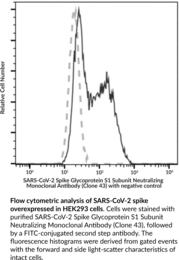 SARS-CoV-2 Spike Glycoprotein S1 Subunit Neutralizing Monoclonal Antibody (Clone 43)