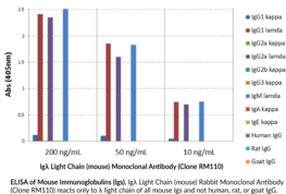 Igλ Light Chain (mouse) Rabbit Monoclonal Antibody (Clone RM110)