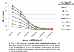 IgG (mouse) Rabbit Monoclonal Antibody (Clone RM104)
