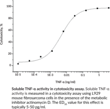 Soluble TNF-α (human, recombinant)