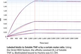 Soluble TNF-α (human, recombinant)