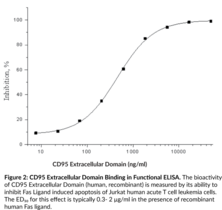 CD95 Extracellular Domain (human, recombinant)