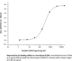 Soluble CD40 Ligand (human, recombinant; Fc-tagged)