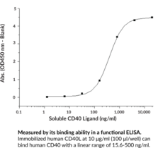 Soluble CD40 Ligand (human, recombinant; His-tagged)