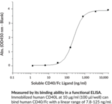 Soluble CD40 Ligand (human, recombinant; His-tagged)