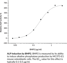 BMP2 (recombinant)