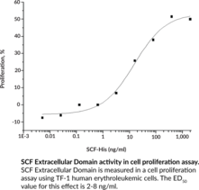 SCF Extracellular Domain (human, recombinant)