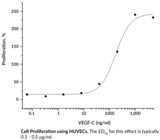VEGF-C (human, recombinant)