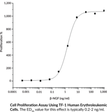 β-NGF (human, recombinant)