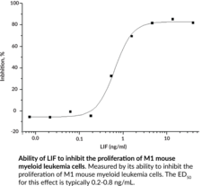 LIF (human, recombinant)