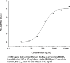 4-1BB Ligand Extracellular Domain (human, recombinant)