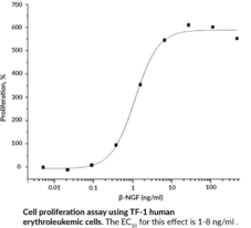 β-NGF (mouse, recombinant)