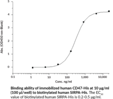 CD47 (human, recombinant)