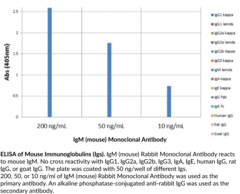 IgM (mouse) Rabbit Monoclonal Antibody (Clone RM109)