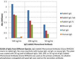 IgG (rabbit) Monoclonal Antibody (Clone RMG03) (Immunoglobulin G)