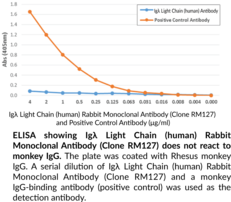 Igλ Light Chain (human) Rabbit Monoclonal Antibody (Clone RM127)