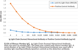 Ig Light Chain (human) Rabbit Monoclonal Antibody (Clone RM129) (Immunoglobulin Light Chain)