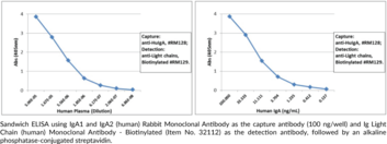 IgA1 and IgA2 (human) Rabbit Monoclonal Antibody (Clone RM128)