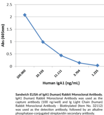 IgA1 (human) Rabbit Monoclonal Antibody (Clone RM124)