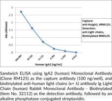 IgA2 (human) Monoclonal Antibody (Clone RM125)