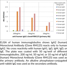 IgA2 (human) Monoclonal Antibody (Clone RM125)
