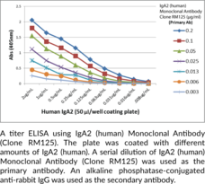 IgA2 (human) Monoclonal Antibody (Clone RM125)