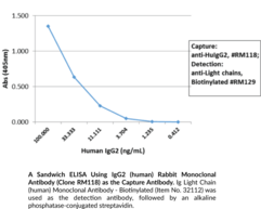 IgG2 (human) Rabbit Monoclonal Antibody (Clone RM118)