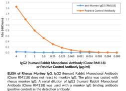IgG2 (human) Rabbit Monoclonal Antibody (Clone RM118)