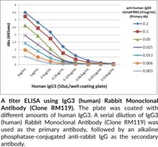 IgG3 (human) Rabbit Monoclonal Antibody (Clone RM119)