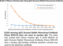 IgG3 (human) Rabbit Monoclonal Antibody (Clone RM119)