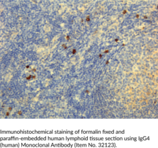 IgG4 (human) Monoclonal Antibody (Clone RM120)