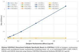 Histone H3K9Me3 Monoclonal Antibody (RM389)