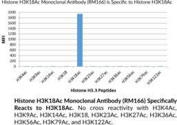 Histone H3K18Ac Monoclonal Antibody (RM166)
