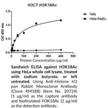 Histone H3K18Ac Monoclonal Antibody (RM166)