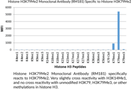 Histone H3K79Me2 Monoclonal Antibody (RM181)