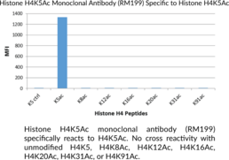 Histone H4K5Ac Monoclonal Antibody (RM199)