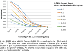 IgG4 Fc (human) Rabbit Monoclonal Antibody - Biotinylated (RM217)