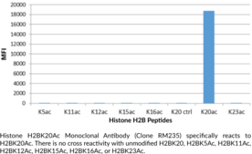 Histone H2BK20Ac Monoclonal Antibody (Clone RM235)