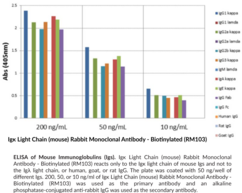 Igκ Light Chain (mouse) Rabbit Monoclonal Antibody - Biotinylated (RM103)