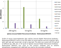 IgG2aκ (mouse) Rabbit Monoclonal Antibody - Biotinylated (RM107)