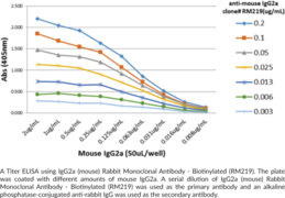 IgG2a (mouse) Rabbit Monoclonal Antibody - Biotinylated (RM219)